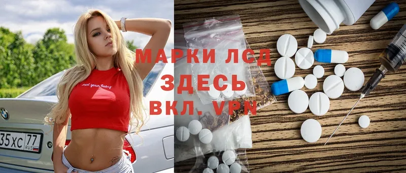 продажа наркотиков  Кисловодск  LSD-25 экстази ecstasy 